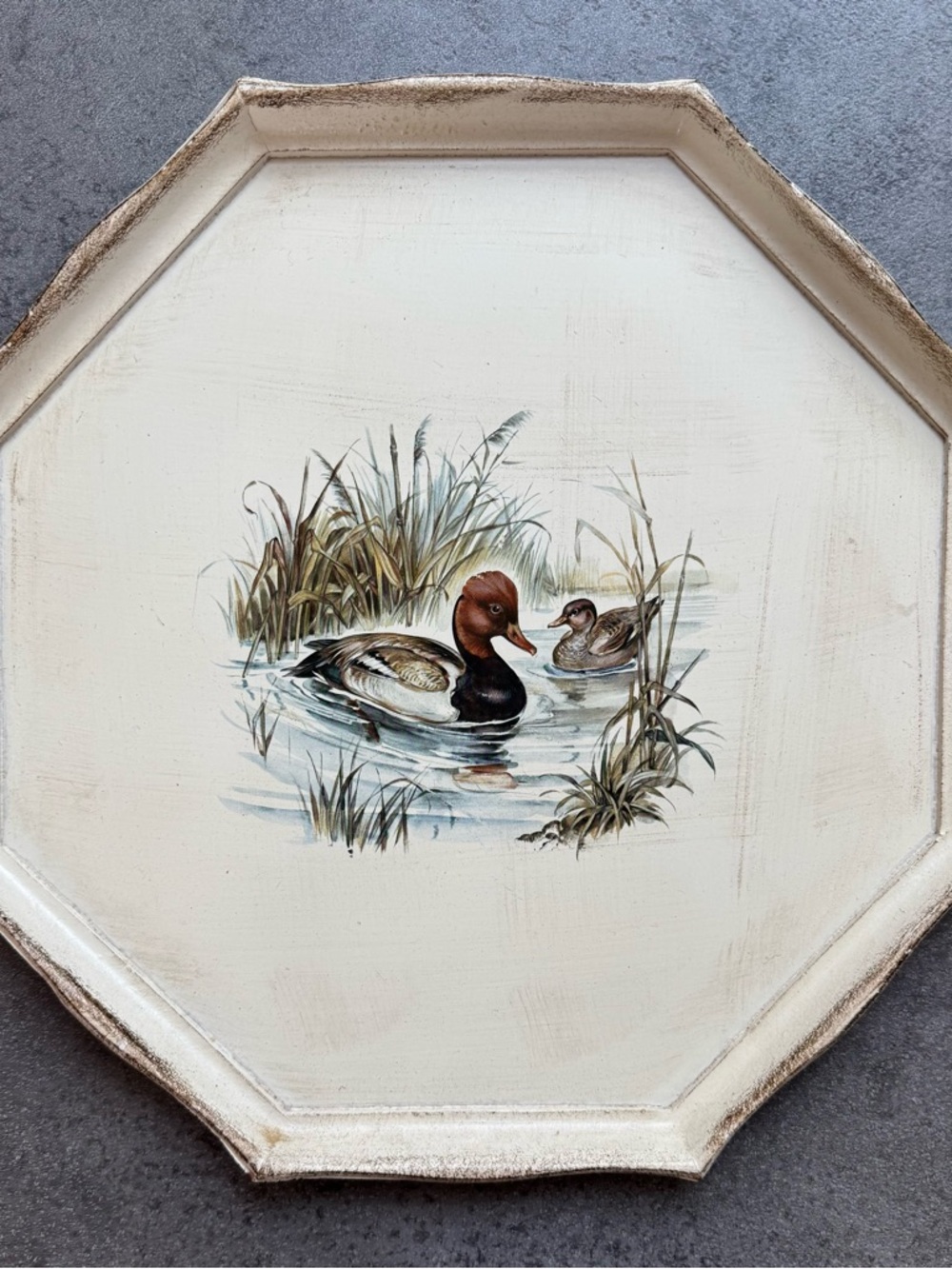 Vintage Octagonal Duck Portrait Wall Tray in Cream Finish